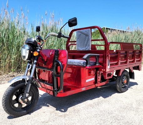 Camion elettrico del carico 1000 motorino della bicicletta della ruota del ciclomotore motorizzato watt 3